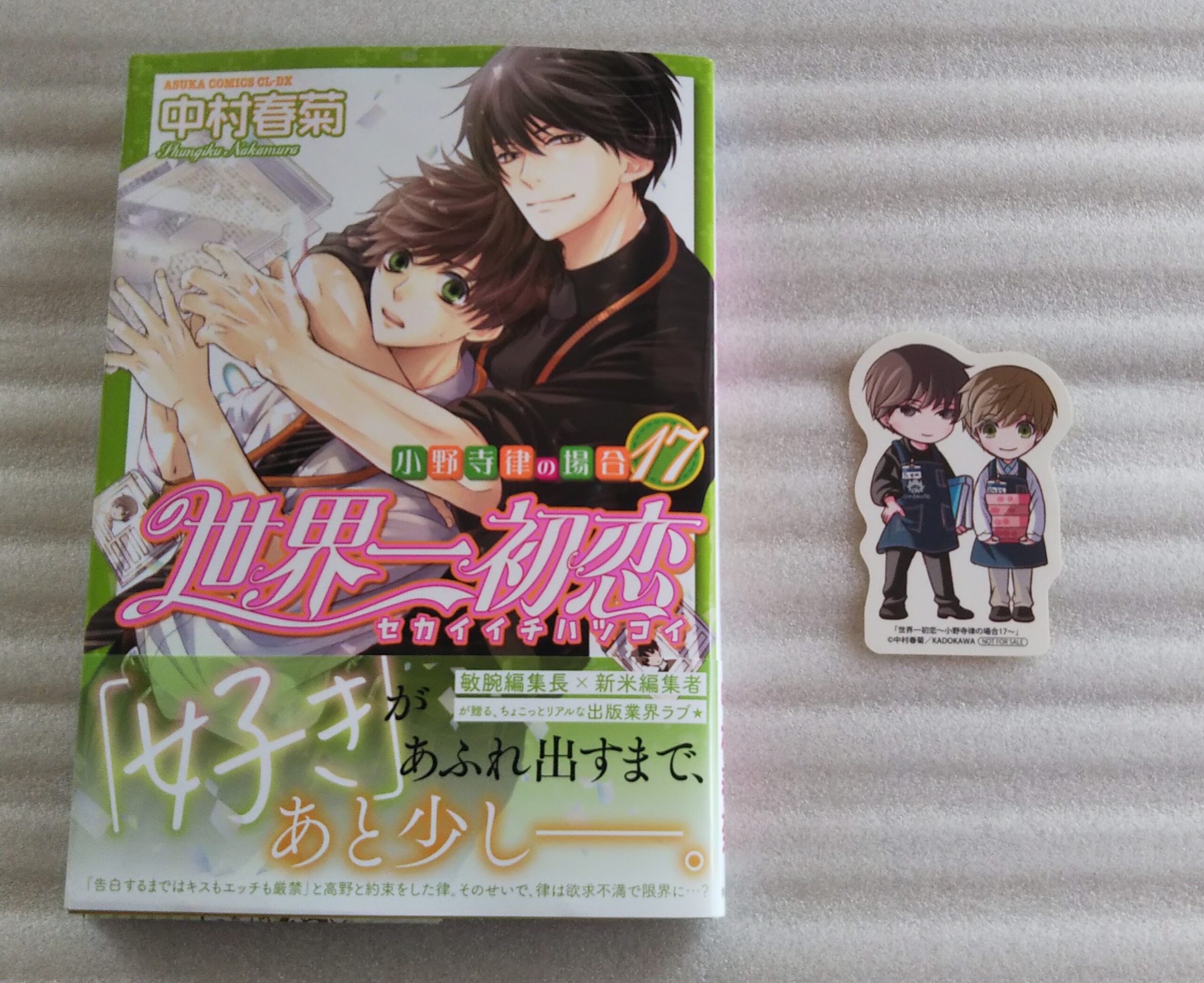 コミック】『世界一初恋～小野寺律の場合～』17巻を購入しました